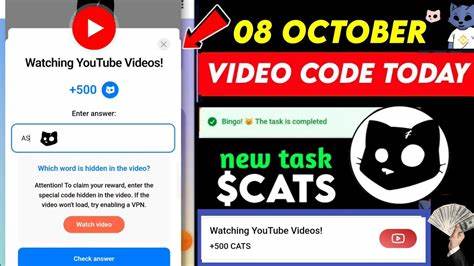 Today's CATS Daily YouTube Video Codes [February 23, 2025] - CoinMarketCap