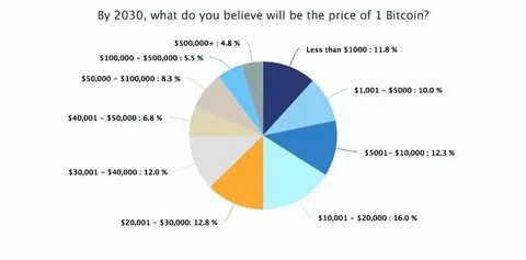 What is the Expected Bitcoin Profit In 2030 If Investment Is $1000 Today? - EIN News