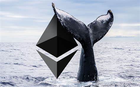 Whales Capitalize on Ethereum Price Dip, Profiting $1.56 Million - Blockchain Reporter