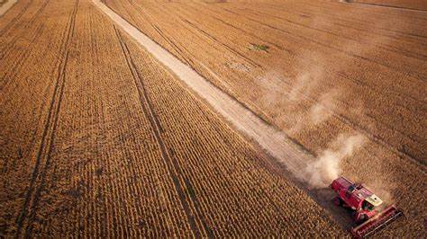 BitCow: Cryptocurrencies break into Argentina’s agricultural sector - Dialogue Earth