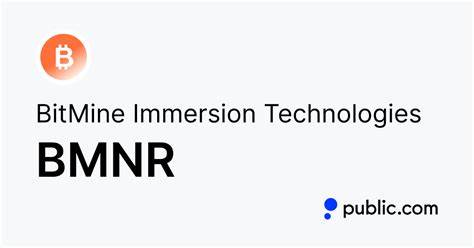 Why BitMine Immersion Technologies Stock Skyrocketed Today