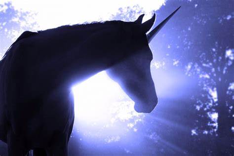 Part 1: LA avatar startups and other mysterious unicorns
