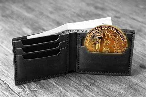 Top 20 Cryptocurrency Wallets in 2024 - U.Today