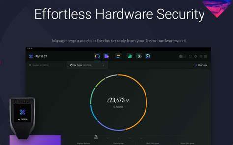 How Safe Is Exodus Wallet? - Crypto Head