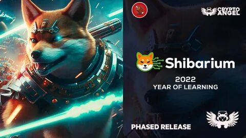 Shytoshi Kusama Reveals How Shiba Inu Is Evolving into the Shib Network State - The Shib Daily