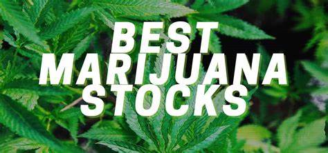 8 Best Cannabis Stocks of October 2024 - Forbes