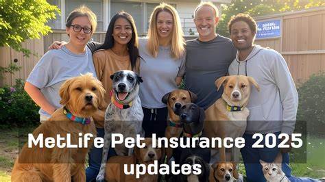 MetLife pet insurance review 2025