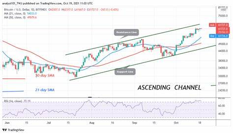 Bitcoin price dips to $61K range, encourages buying spree among BTC fish, dolphins and sharks - Mitrade