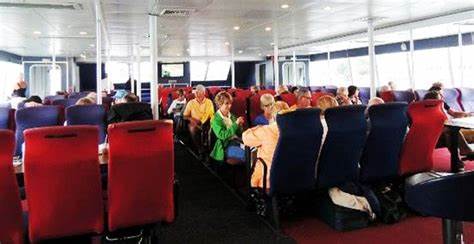 Zac Taylor - Wikipedia