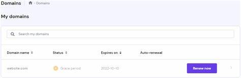 TLD domain name renewal grace periods