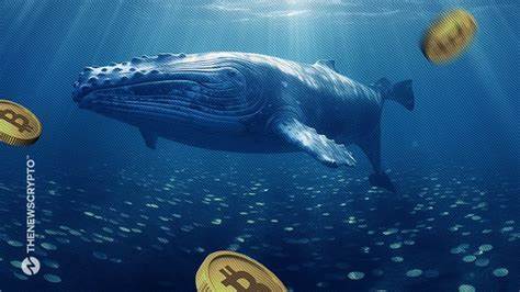 One Bitcoin Whale Moved $44 Million While Another Sold $14 Million - BeInCrypto