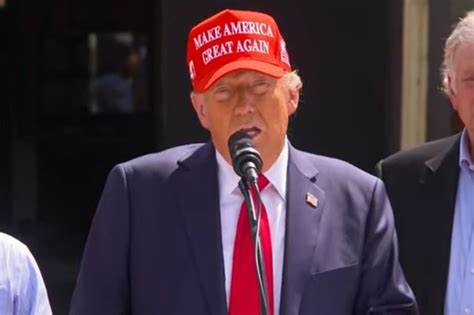 Is Skyrocketing Pepe $TRUMP Token A Potential 'Honeypot'? - LatinTimes
