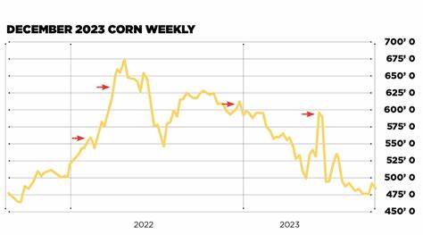 Corn Is Rebounding From the Lows: How Much Higher Can Prices Go?