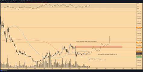 Michaël van de Poppe's Bullish Stance on Altcoins for Long-term Gains - Blockchain.News