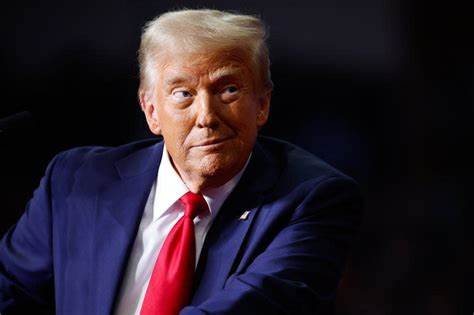 Free Trade Zone Between Europe and North America: Elon Musk Swipes at Trump’s Tariff Guy - Crypto Adventure