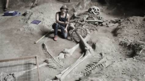 QUERY Definition & Meaning | Dictionary.com