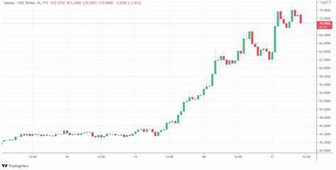 Solana sets new all-time high as TRUMP-fuelled rally spurred price growth