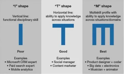 The T-Shaped Developer