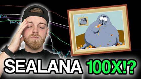 New Solana Meme Coin Surges 430% Amid Recovering Market - BeInCrypto