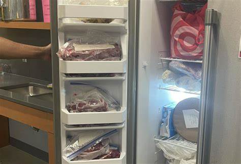 Cornell Students Skin Bear in GANędagǫ: Hall Communal Kitchen, No Charges Filed