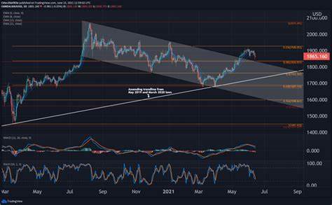 PTJ on BTC: Bitcoin Is Now the Macro Big Bet - CoinDesk