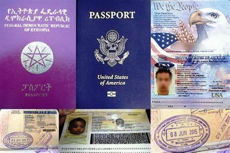 Ethiopian Immigration Office: Visa, Passport, and Applications