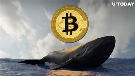 Bitcoin Faces Pressure as Whales Bet Against BTC - The Currency Analytics