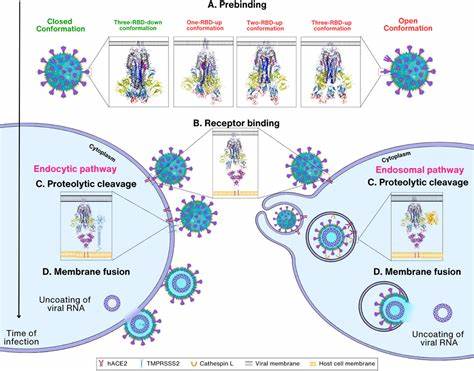 Hydrogen sulphide gas restricts SARS-CoV-2 replication in host cells