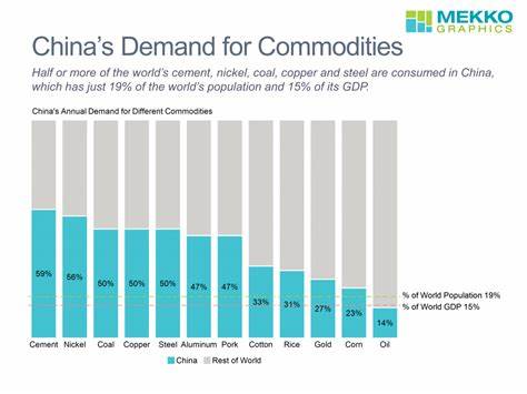 China’s Bulging Commodity Stockpiles Show Depth of Economic Woes