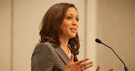 Kamala Harris Under Fire For Tax Plan, Pro-Crypto Shift In Vain? - CoinGape