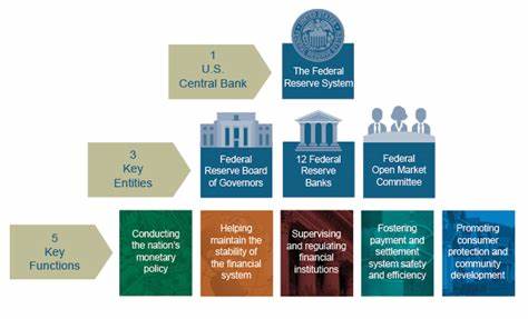 What role does the Fed play in consumer protection​?