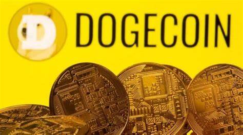 Dogecoin cryptocurrency slumps after hashtag-fueled surge to record high - Reuters