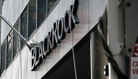 BlackRock Named The Best Crypto For Portfolio Diversification - The Portugal News