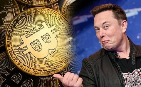 Bitcoin price back above $40,000 after Elon Musk comments - The Guardian