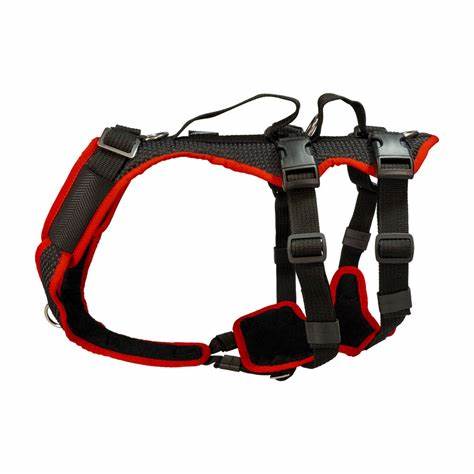 Hundegeschirre – sicher, bequem & robust für jeden Hund – Grossenbacher 