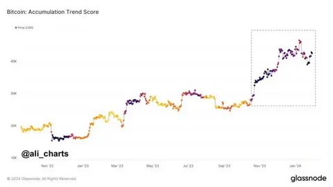 Bitcoin Buzz: Accumulation Trend Peaks At A 3-Year High – What’s Driving The Surge? - NewsBTC