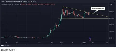 Ripple's XRP Surges 40% After Trump Win, But It May Crash Soon - NDTV
