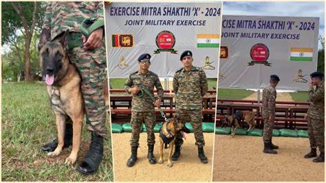 Shakti (K9) Tutorial