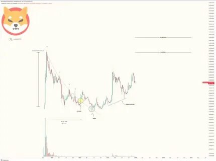 Top Analyst Says Shiba Inu Showing “Textbook Bull Signals,” Predicts Massive Rally to $0.000081 - The Crypto Basic