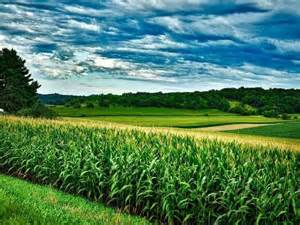 Corn Weakness Extending to Tuesday’s Midday
