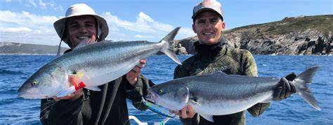 Salmon Chaos