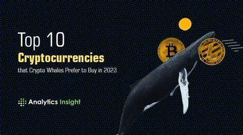 Top Cryptocurrencies to Buy Today that Crypto Whales are Fanatic About