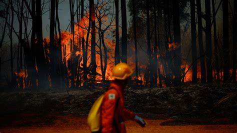 For First Time, Fires Are Biggest Threat to Forests' Climate-Fighting Superpower