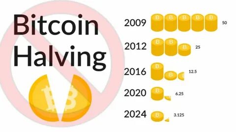 $1 Million Bitcoin Alpha Competition for Bitcoin 2024 - Bitcoin Magazine