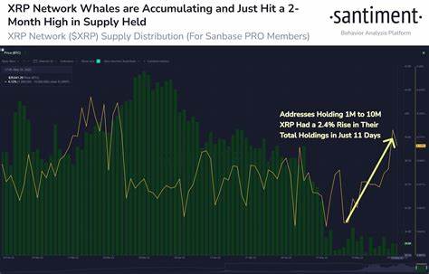 XRP short-term holders dominate sell-off as whales buy the dip - FXStreet