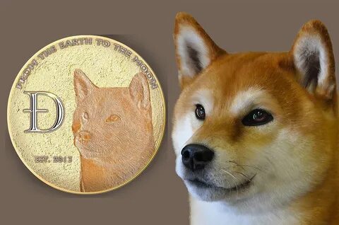 This Dog Coin Is Entering A Zone Of 'Very Attractive Valuations,' Says Trader...And It's Not SHIB, DOGE - Benzinga