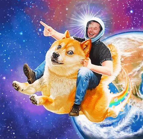 Elon Musk says he's going to put Dogecoin on 'the literal moon' - Space.com