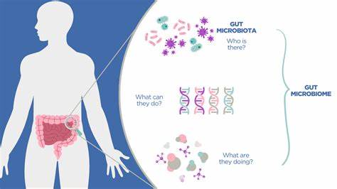 Is your gut microbiome a calorie 'super harvester'?