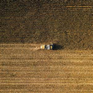 Wheat On the Positive Side of Unchanged to Kick Off Monday