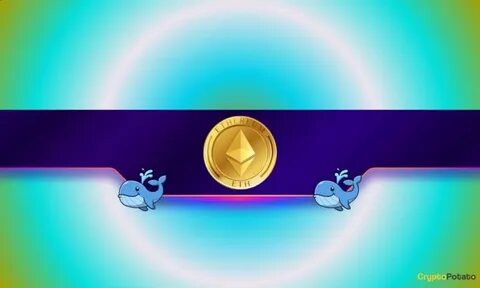 Ethereum Whales Accumulate Millions of Tokens: ETH Price Surge on the Way? - CryptoPotato